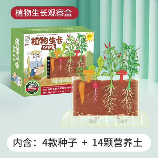 【一起种植吧，激发孩子探索自然科学的奥秘】 学优马阳光房儿童种植套装玩具种子观察窗小学生幼儿园DIY种菜盆 商品图7