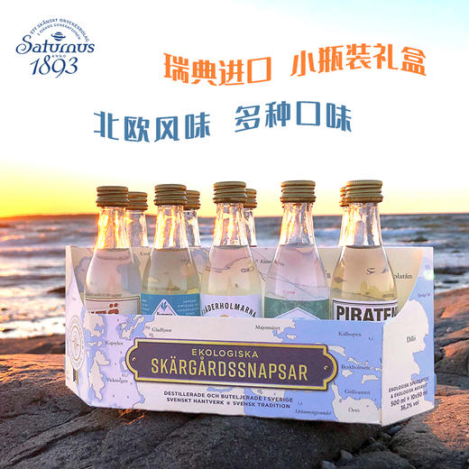 Saturnus风味伏特加10支装 商品图0