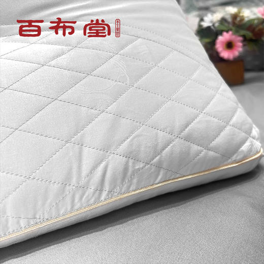 BBT百布堂蚕蛹蛋白美肤养颜枕 商品图1