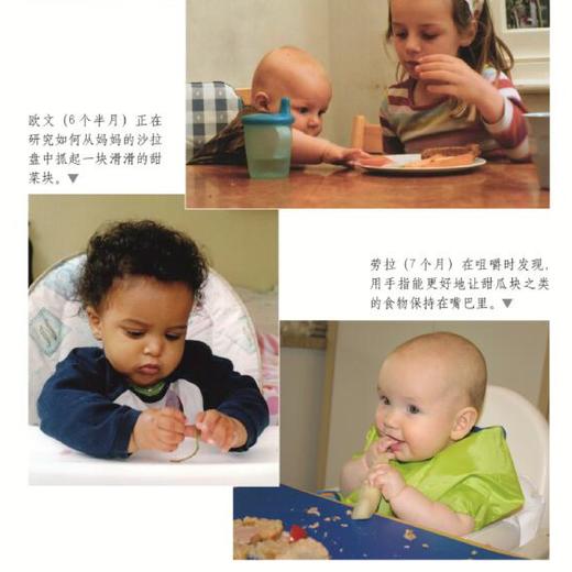 《辅食添加，让宝宝做主》（新版） 商品图6