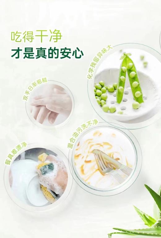 爸爸去哪儿洗洁精2桶（拼团） 商品图4