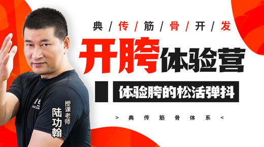开胯体验营教程 商品图0