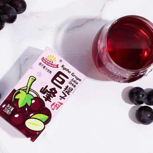 阳光先生 | 巨峰提子果汁饮料250ml 商品图1