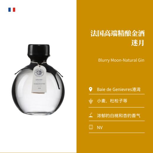 Blurry Moon-NATURAL GIN 法国高端精酿金酒——迷月 商品图1