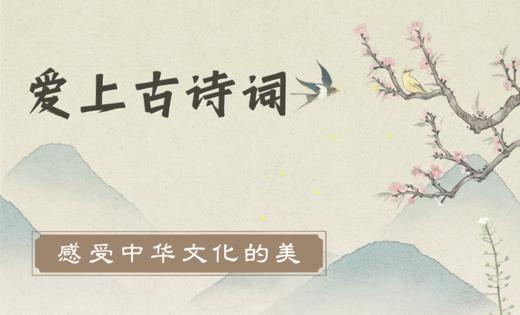 古诗里的比喻手法 商品图0