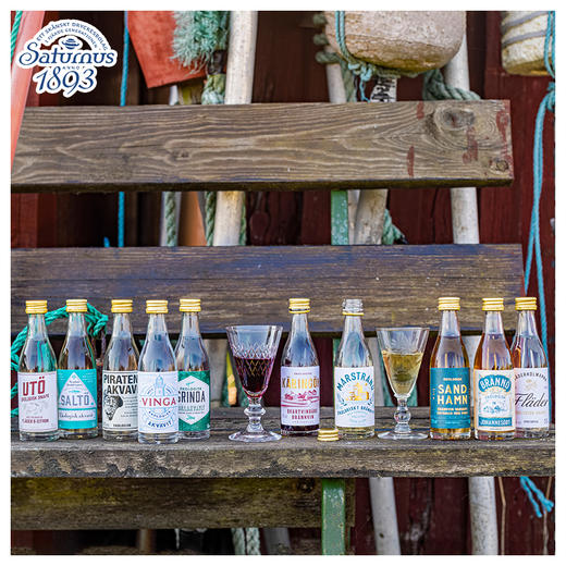 Saturnus风味伏特加10支装 商品图4