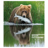 【预订】Wildlife Photographer of the Year: Highlights Volume 6 | 年度野生动物摄影师：亮点第六卷 商品缩略图0