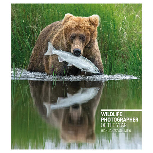 【预订】Wildlife Photographer of the Year: Highlights Volume 6 | 年度野生动物摄影师：亮点第六卷 商品图0