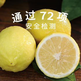 重庆汇达黄柠檬|酸甜多汁 新鲜采摘 柠檬清香 富含丰富维C