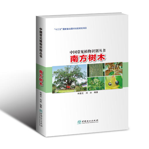 中国常见植物识别丛书 商品图2