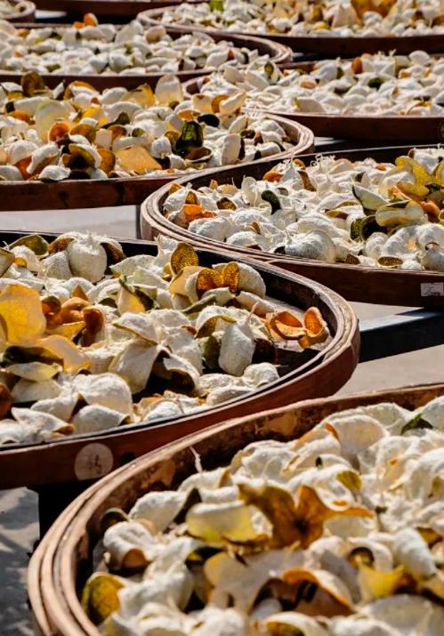 ³【五年新会双水二红陈皮】2020年采摘天然生晒 自然陈化 XN03-CRMM-YSY 商品图3