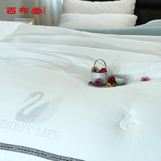 BBT水晶鹅木棉暖馨冬被 商品图1