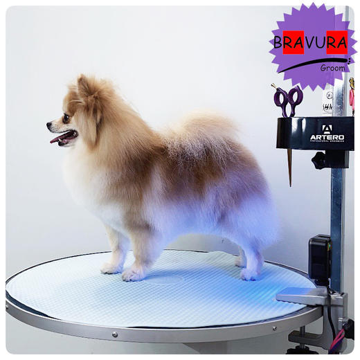 瑞宠 容桌防滑垫赛级宠物美容桌硅胶防滑垫 商品图6