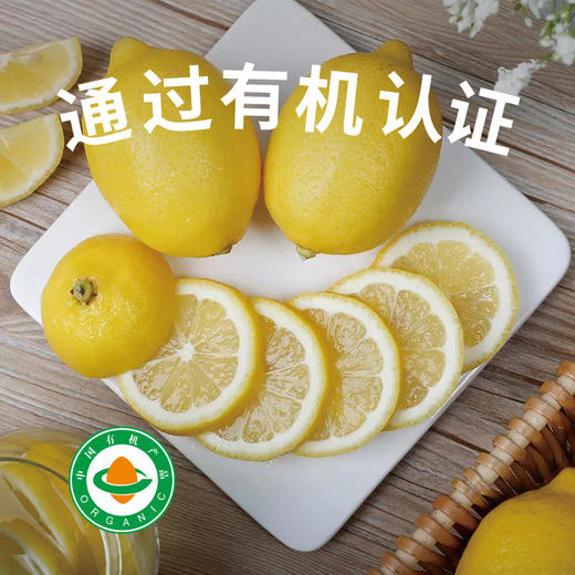 四川有机柠檬|不打农药不打蜡 酸甜可口 肉厚多汁 商品图0