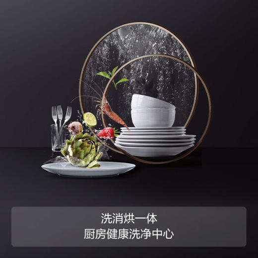 方太水槽洗碗机嵌入式家用水槽洗碗机一体不锈钢大水槽高温除菌烘干长效保洁果蔬净化洗海鲜 C5H\C5HL 商品图4