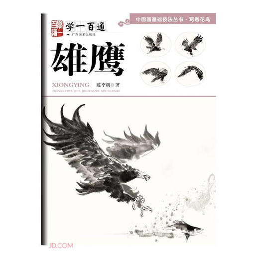 雄鹰 商品图0