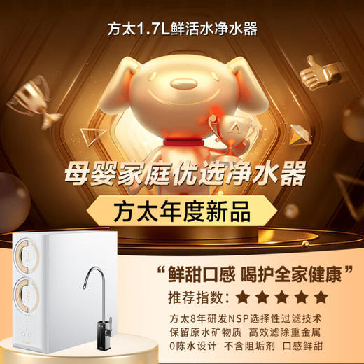 方太（FOTILE）净水器家用直饮净水机饮水机一体母婴级矿物质健康水大流量厨房厨下式NSP选择过滤1.7L/分H2EA 商品图1