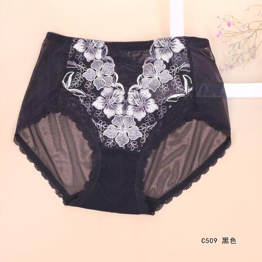 5F Ahpeena爱比娜  网纱舒适内裤 商品图0