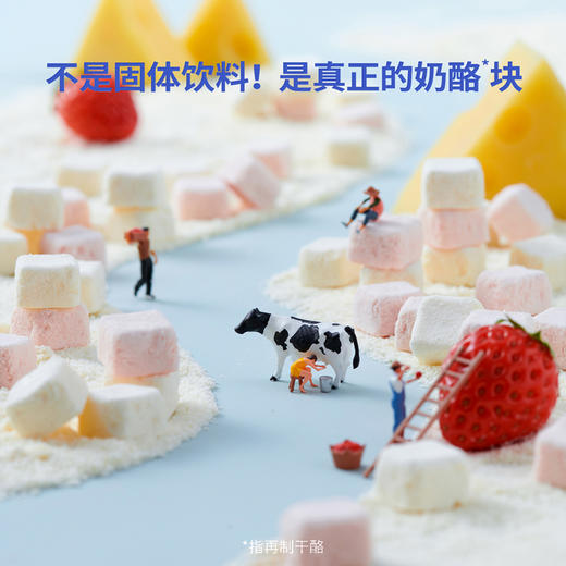 【鱼sir专享】奶酪博士A2β-酪蛋白 冻干奶酪块  商品图0