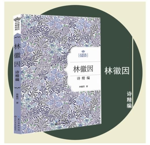 《林徽因诗精编》名家经典诗歌系列 林徽因 著 长江文艺出版社 商品图0