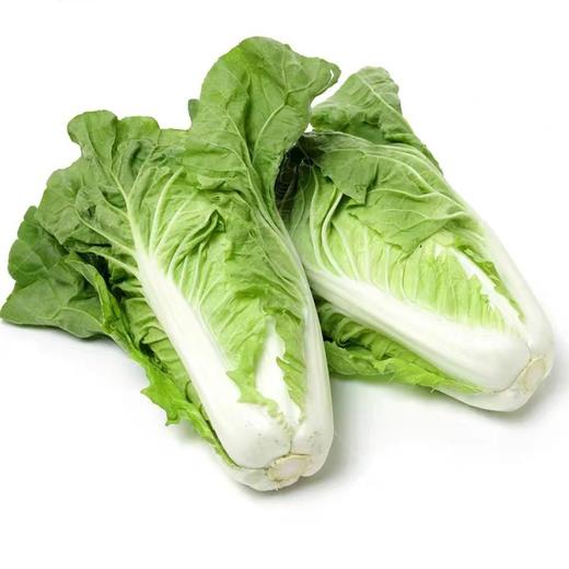 大快菜 500g 商品图0