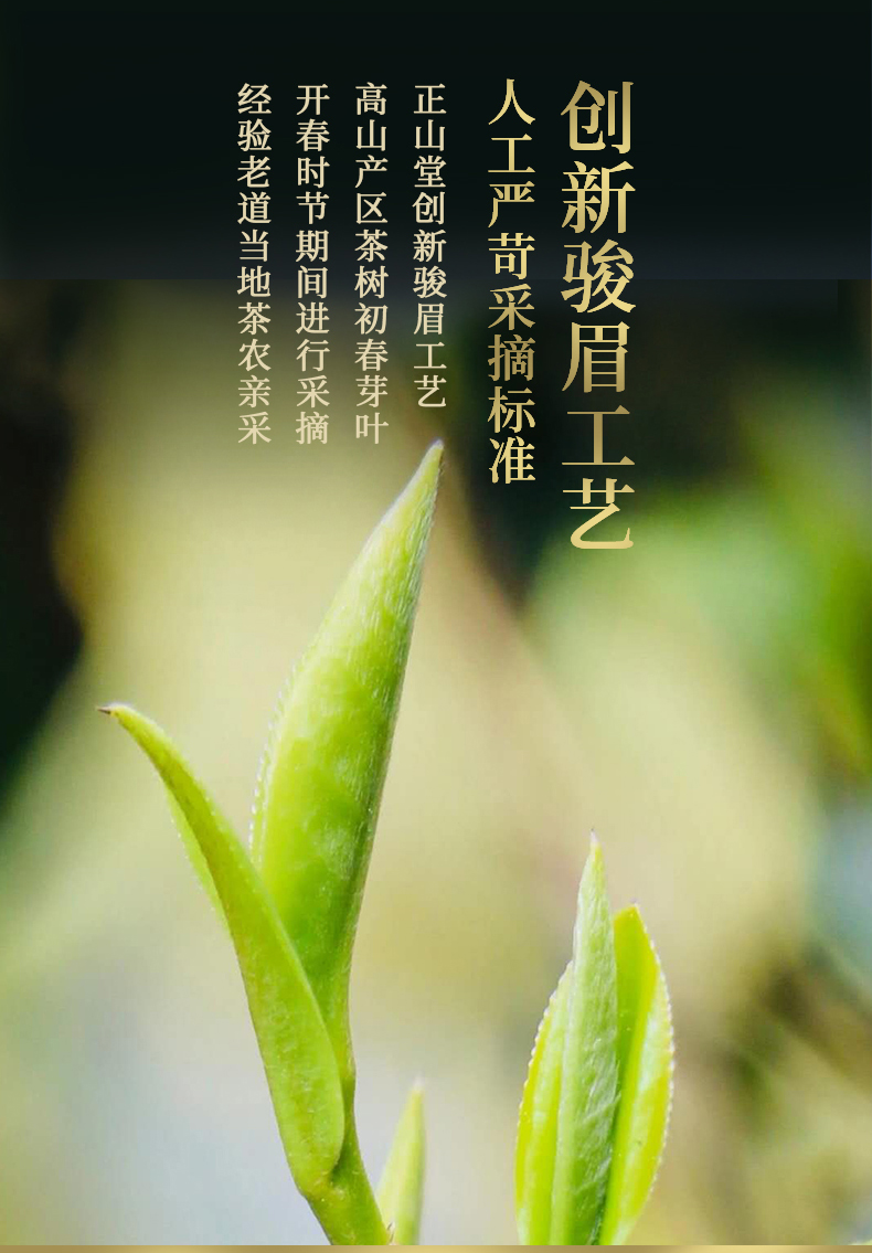 正山堂骏眉中国 红丝燃 一芽一叶特级红茶十大产区茶叶罐装30g - 正山