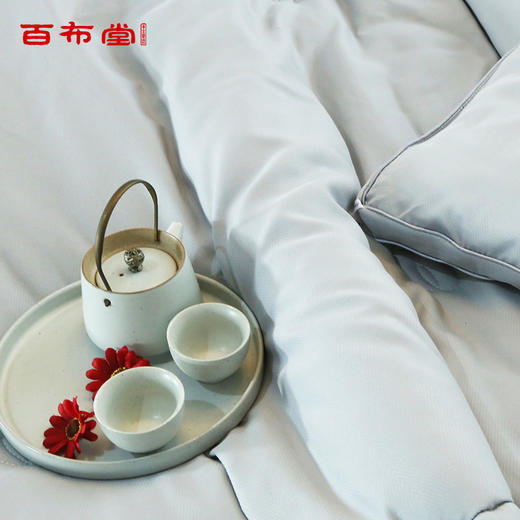 BBT水晶鹅木棉暖馨冬被 商品图3