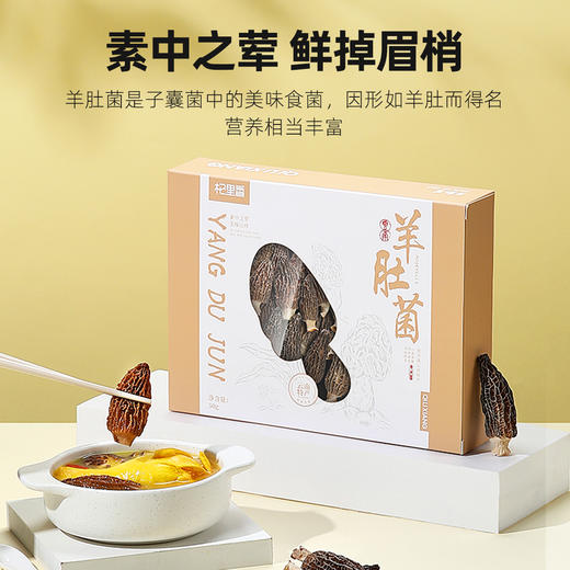 【杞里香50g盒装羊肚菌】菌香浓郁 老少皆宜  素中之荤 鲜掉眉梢 商品图1
