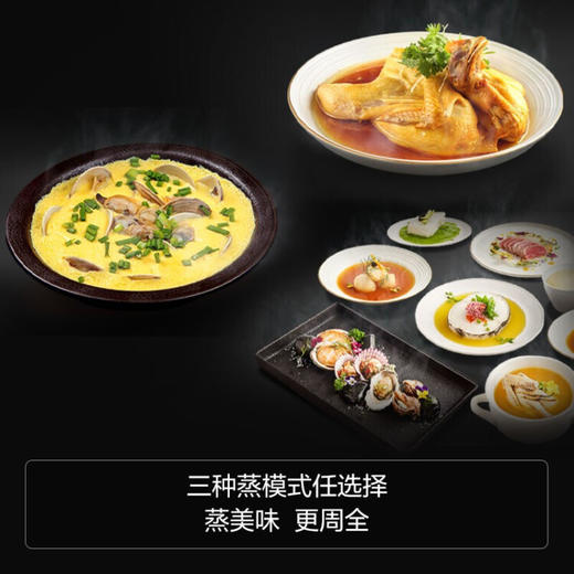 方太嵌入式蒸箱烤箱套装组合 厨房家用大容量嵌入式电烤箱烘焙精准控温 45L电蒸箱+42L烤箱组套 【SCD45-EX1.i单蒸箱】45升容量 商品图4