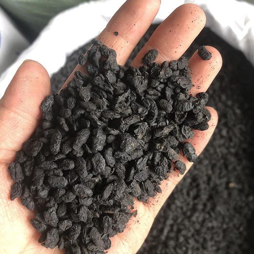 淡豆豉 商品图4