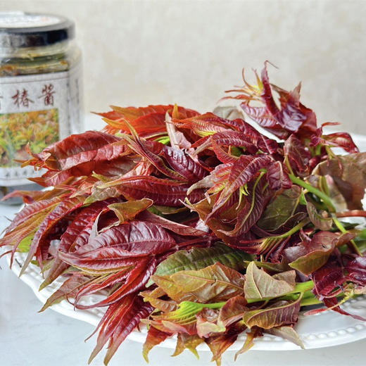 【云南高山红油香椿芽】头茬香鲜--云南有机香椿 香椿酱  吃早  吃鲜  吃嫩  纯甜 春季要吃的香椿 口感脆嫩 错过zhi能等明年咯～ 商品图0