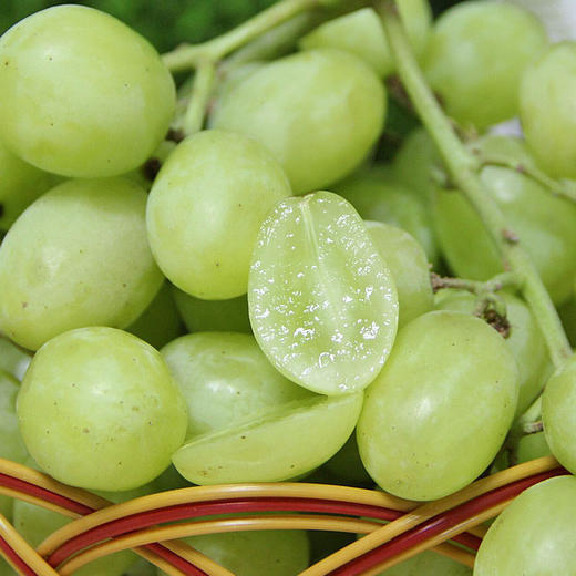 进口青提 商品图2