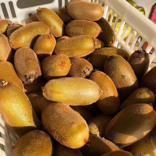 【即食】金福猕猴桃、硬吃脆甜、软吃甜糯、果长、肉细多汁、香味浓郁，集所有猕猴桃优点于一身！ 商品图3