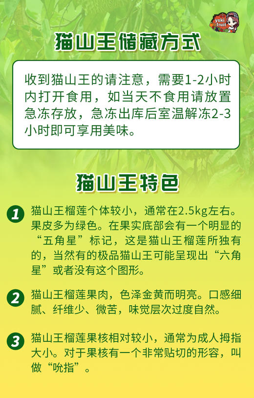 【双A果】马来西亚猫山王榴莲液氮果 【树上自然熟】 商品图5