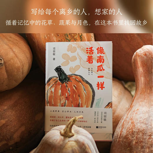 像南瓜一样活着 商品图2
