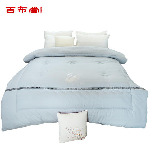 BBT水晶鹅木棉暖馨冬被 商品图2