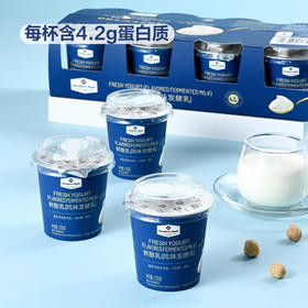 MM 山姆 Member's Mark 鲜酪乳（风味发酵乳）120g*8