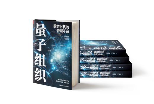 量子组织——数智时代的管理革命 / 彭剑峰 /人大出版社 商品图2