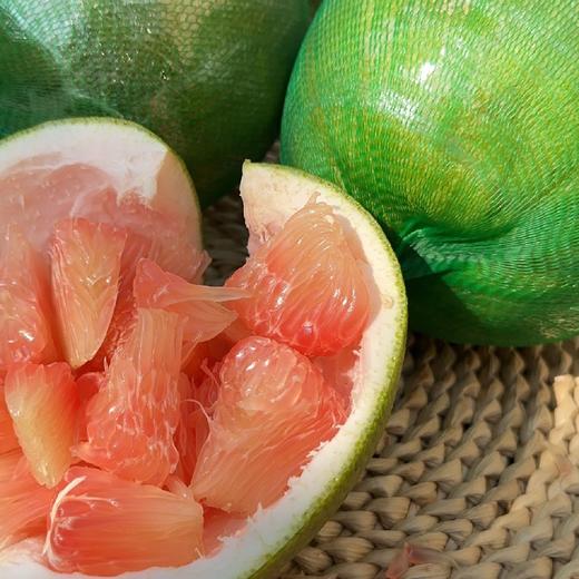 柚子泰国红心果翡翠蜜柚 2/4个装 商品图13