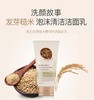 【中欧班列精选2支】韩国水果之乡洗颜故事洗面奶 原装进口洗颜泡沫葡萄籽洗面乳糙米绿茶洁面乳 150g/支WHBX 商品缩略图3