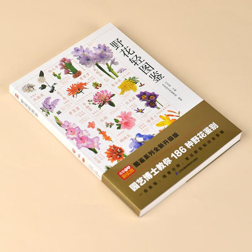 野花轻图鉴 商品图3