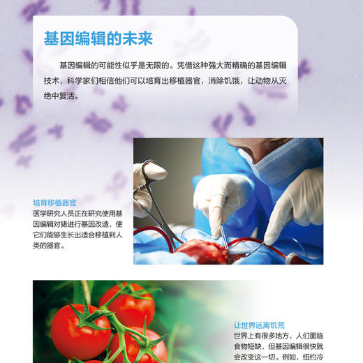 《强国少年高新科技知识丛书》（全10册） 商品图7