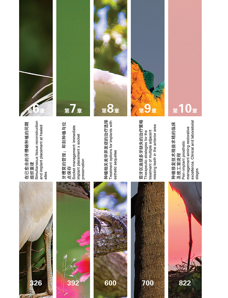美学区牙周种植手术精要-目录2.jpg