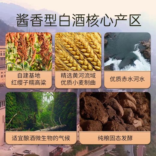 钓鱼台 贵宾酒（第三代）53度500ml 商品图3