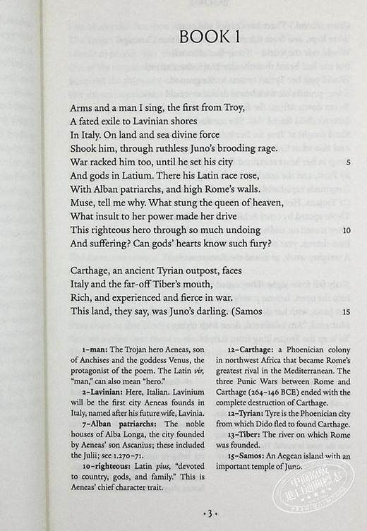【中商原版】维吉尔 ：埃涅阿斯纪 英文原版 The Aeneid Vergil Sarah Ruden 经典文学书籍 一部罗马帝国的“史记” 商品图6