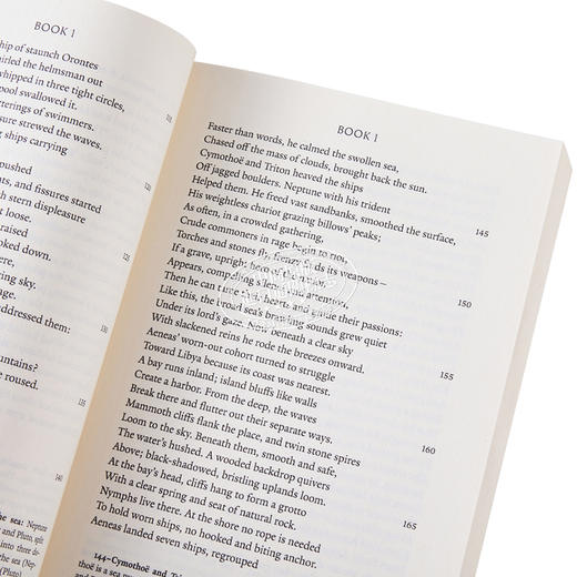 【中商原版】维吉尔 ：埃涅阿斯纪 英文原版 The Aeneid Vergil Sarah Ruden 经典文学书籍 一部罗马帝国的“史记” 商品图3