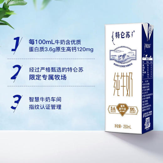蒙牛 特仑苏纯牛奶苗条装250ml×12盒 商品图5