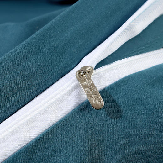 轻奢超柔棉纯色刺绣四件套2.0*2.3m-G117900020 商品图4