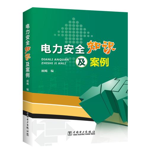 电力安全知识及案例 商品图0