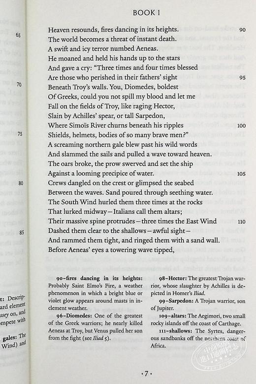 【中商原版】维吉尔 ：埃涅阿斯纪 英文原版 The Aeneid Vergil Sarah Ruden 经典文学书籍 一部罗马帝国的“史记” 商品图8